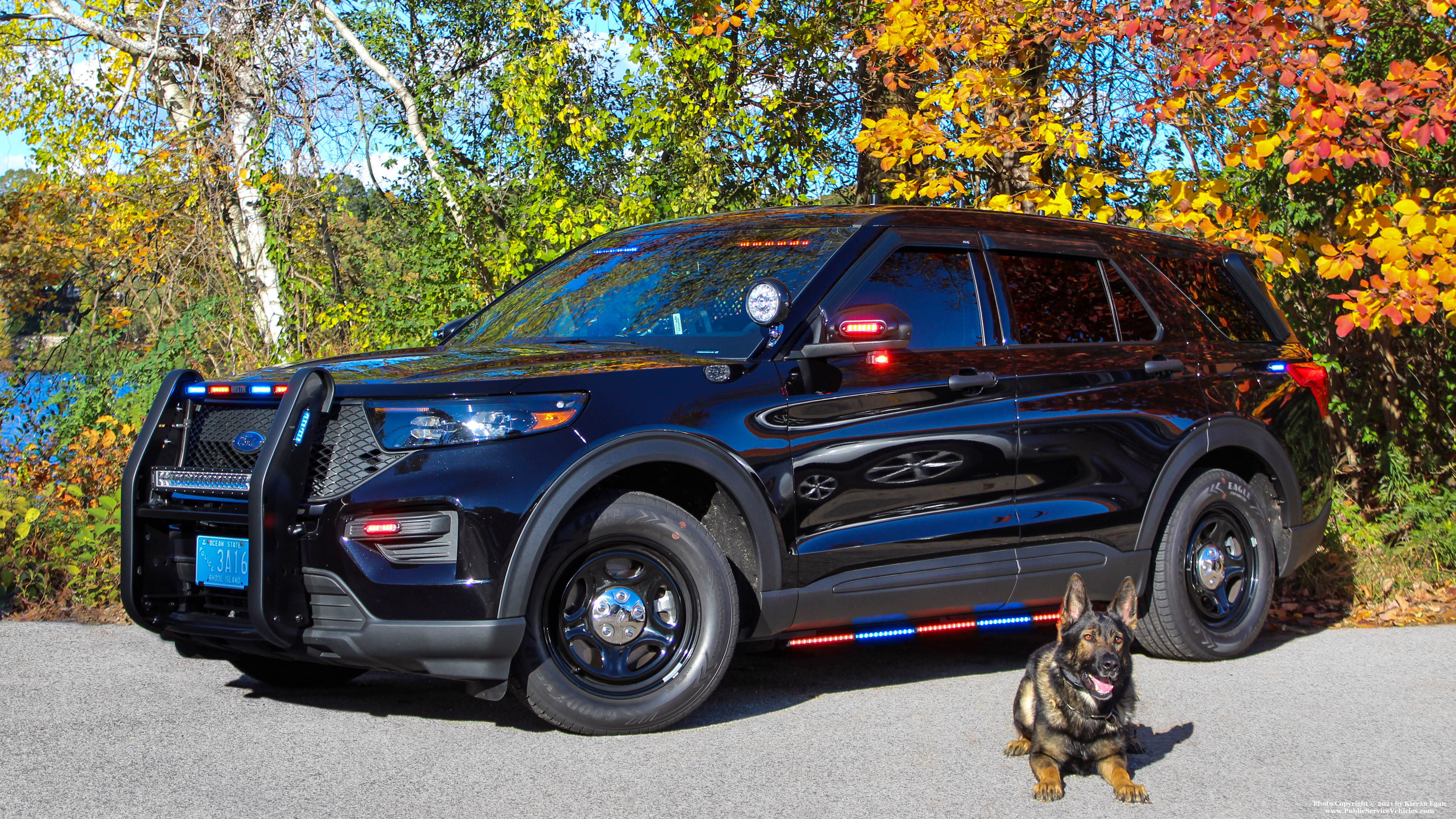 A photo  of Warwick Police
            Cruiser K9-1, a 2021 Ford Police Interceptor Utility             taken by Kieran Egan