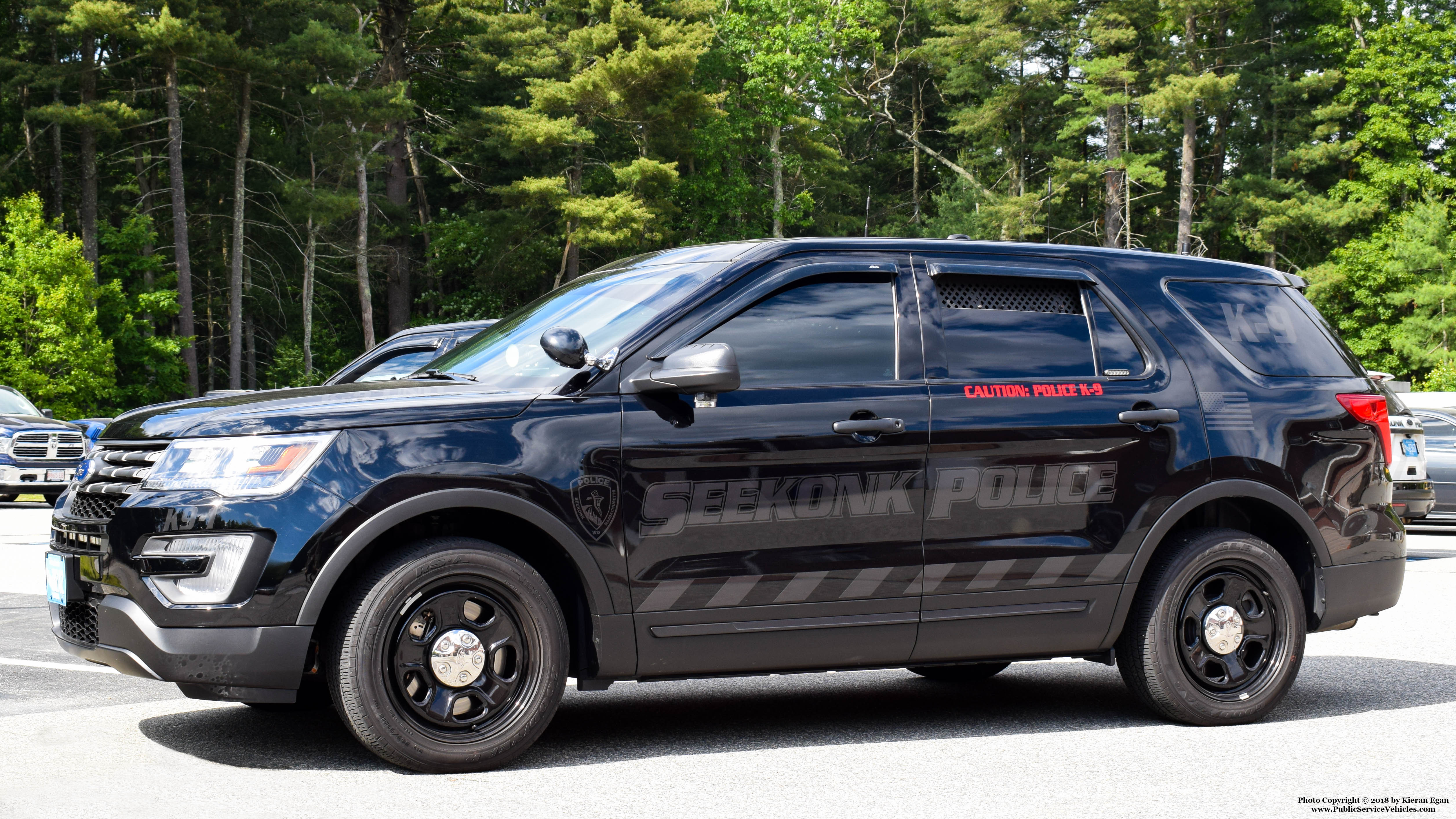 K9 interceptor best sale